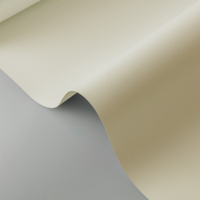 Custom Insulated Waterproof Cassette Roller Shades, Beige Tint