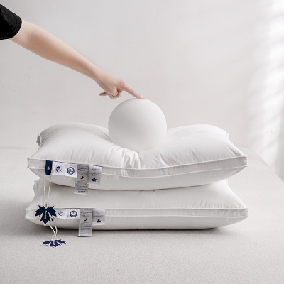 Oreiller 95% Duvet D'oie Moelleux, Oreiller Plume D'oie